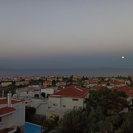 Maris Full Apartment With Roof Garden Access Χίος Εξωτερικό φωτογραφία