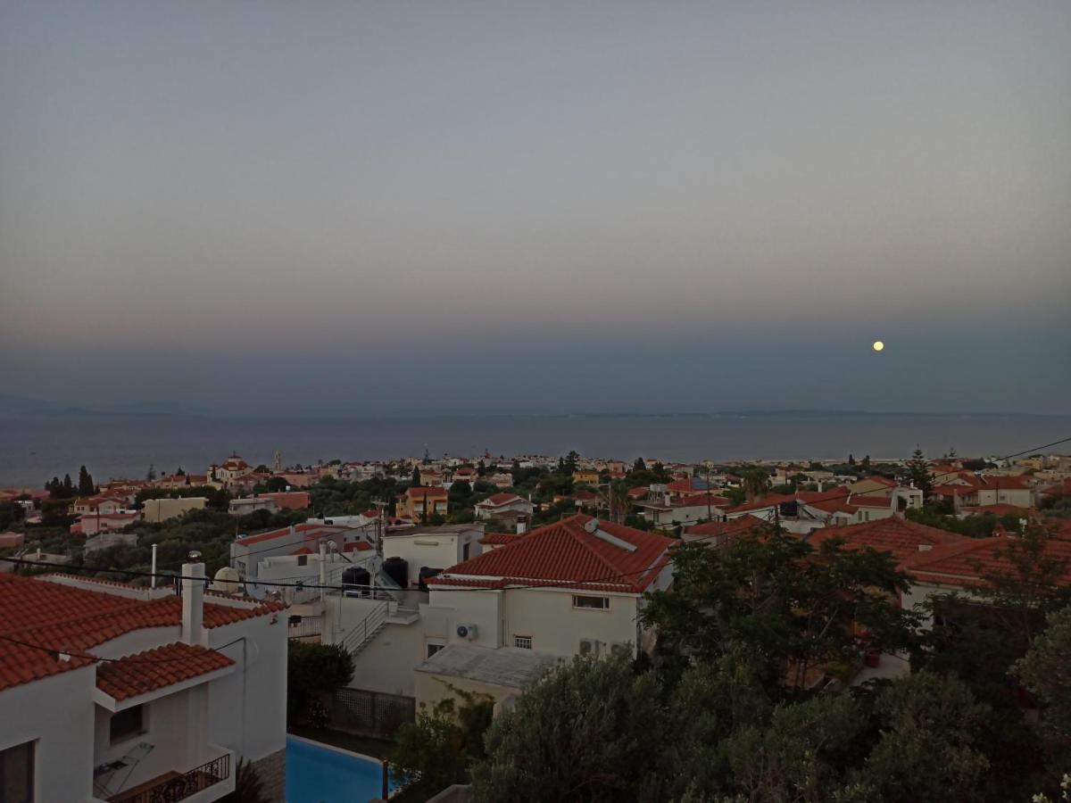 Maris Full Apartment With Roof Garden Access Χίος Εξωτερικό φωτογραφία