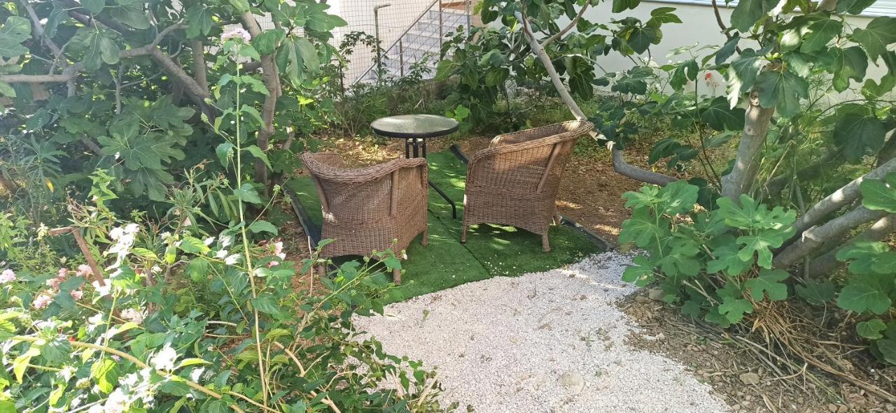 Maris Full Apartment With Roof Garden Access Χίος Εξωτερικό φωτογραφία